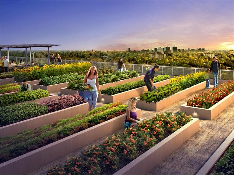 One Park Place North Tower - Image 5