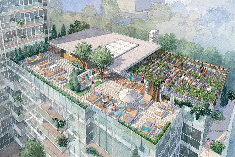 The Ravine - Image 7