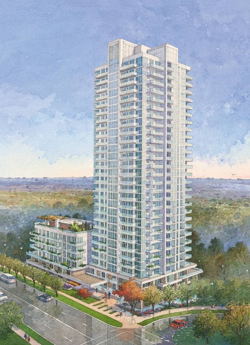 The Ravine - Image 2