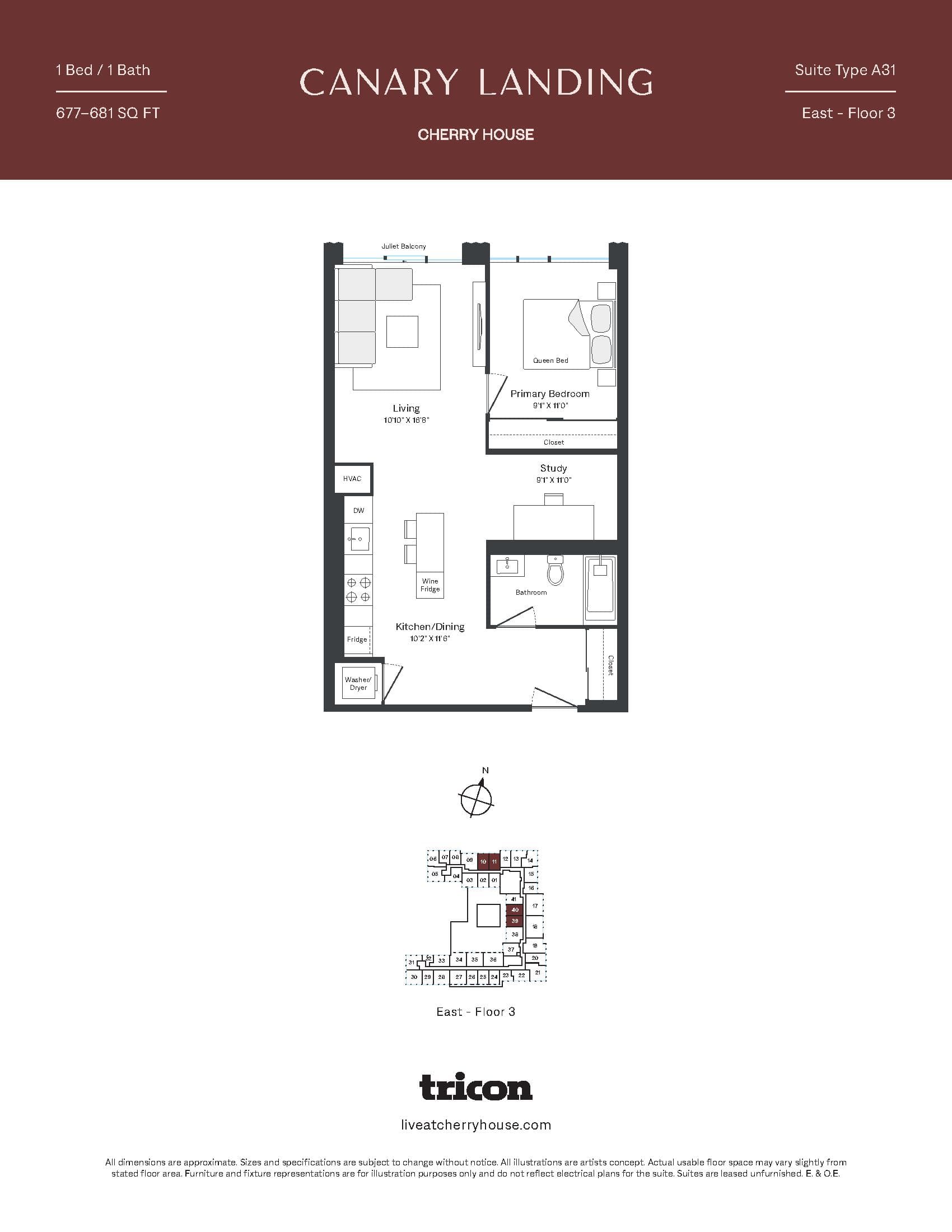 Type A31 Floor Plan at Cherry House at Canary Landing - 677 sq.ft