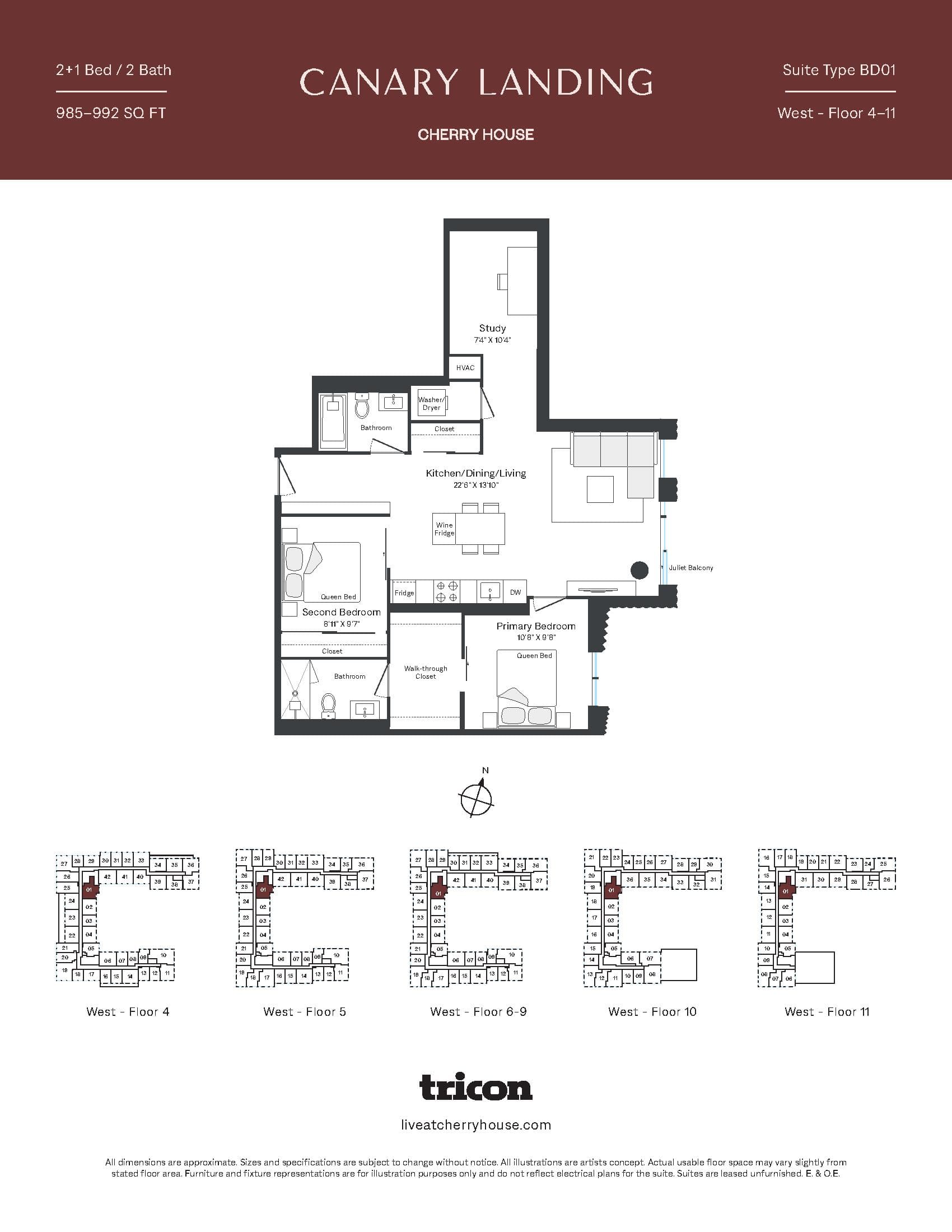 Type BD01 Floor Plan at Cherry House at Canary Landing - 985 sq.ft